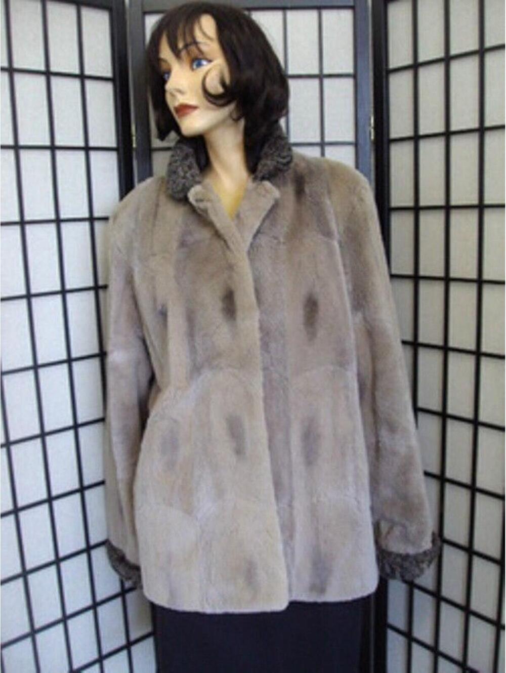 !EXCELLENT SHEARED MUSKRAT FUR JACKET COAT W/ASTRAKHAN LAMB WOMEN WOMAN 8